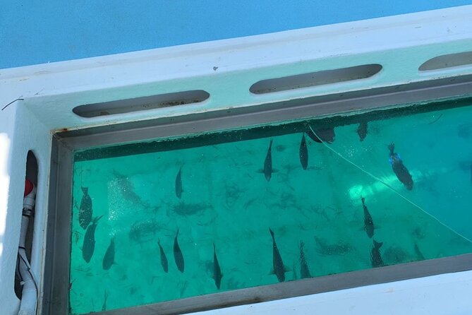 GlassBottom Catamaran with Slide - Weather Rules and What Happens if Conditions Turn