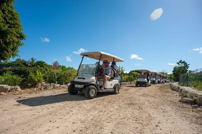 Golf Cart Eco Tour Half Day Tour - Indigenous Eyes reserve: 1,500 acres, 12 freshwater lagoons, and real lagoon time