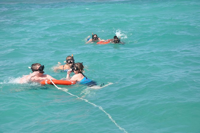 Great Snorkeling Cruise with Sharks & Stingray Encounter and Natural Pool - Sharks and Stingrays: What the Encounter Really Feels Like