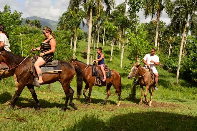 Guided Horseback Ride On The Beach With Pickup From Punta Cana - Key things you should know before you go