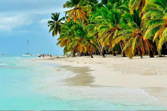 Guided Saona Island Tour in Punta Cana - Isla Saona Premium in plain terms: what you’re actually buying