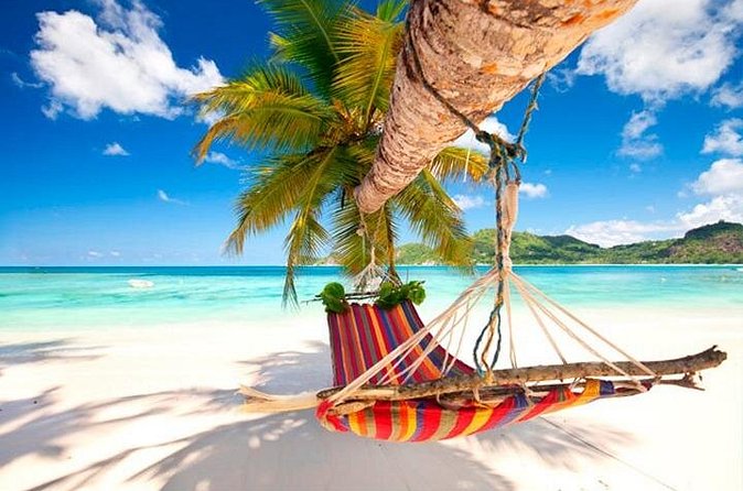 Guided Saona Island Tour in Punta Cana - Service and safety feel: the human part matters