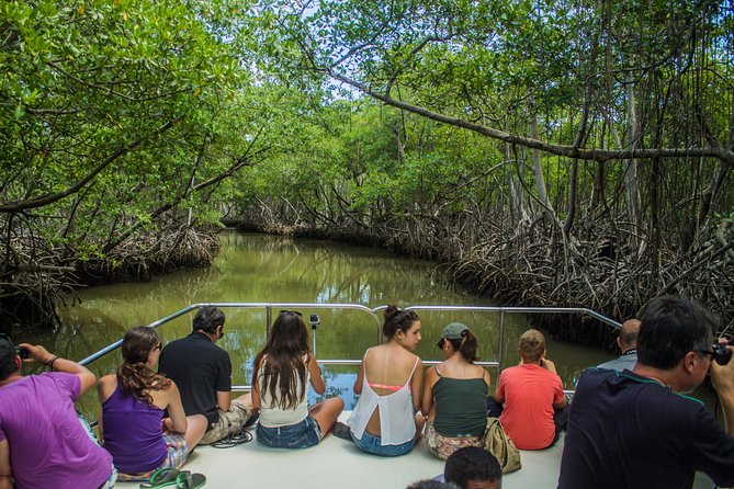 Haitises National Park with Paraiso Caño Hondo & Montaña Redonda - From 7:00 am Punta Cana Pickup to the Real Countryside