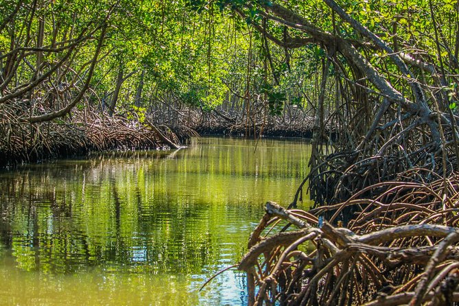Haitises National Park with Paraiso Caño Hondo & Montaña Redonda - The Dirt-Road Run to Los Haitises (Why It Can Be Worth It)