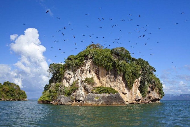 Haitises National Park with Paraiso Caño Hondo & Montaña Redonda - Riverboat Time in Los Haitises: Mangroves and Cave Country