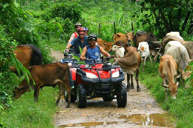 Half-Day Adventure 4x4 ATV, Water Cave and Dominican Culture - Why This Punta Cana ATV, Cave, and Beach Combo Works