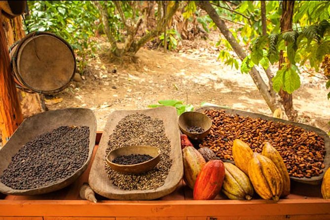 Half-Day Adventure 4x4 ATV, Water Cave and Dominican Culture - Organic Farm Stop: Coffee, Chocolate, Rum (and the Sales Reality)