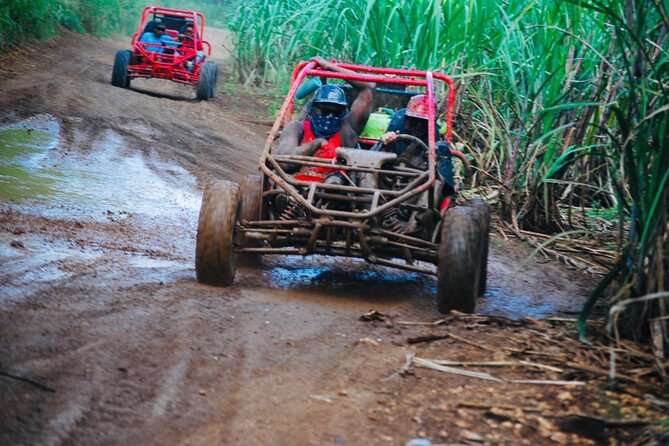 Half-Day ATV or Buggy 4X4 from Bayahibe - La Romana - The off-road driving: expect mud, dust, and the thrill of being in control