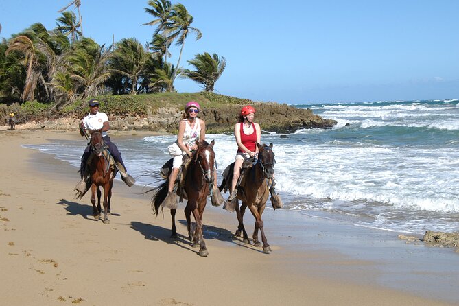 Half Day Buggies and Horseback Experience in Punta Cana - Buggy driving in Punta Cana’s interior: fun, mud, and real grit