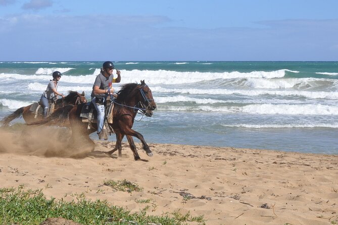 Half Day Buggies and Horseback Experience in Punta Cana - Macao Beach: the coastline moment and the horseback question