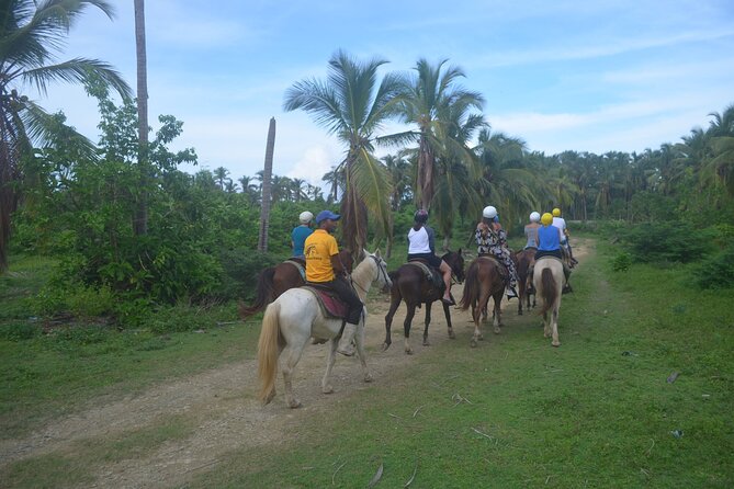 Half Day Buggies and Horseback Experience in Punta Cana - Pickup, transfers, and the small-group promise (max 30)
