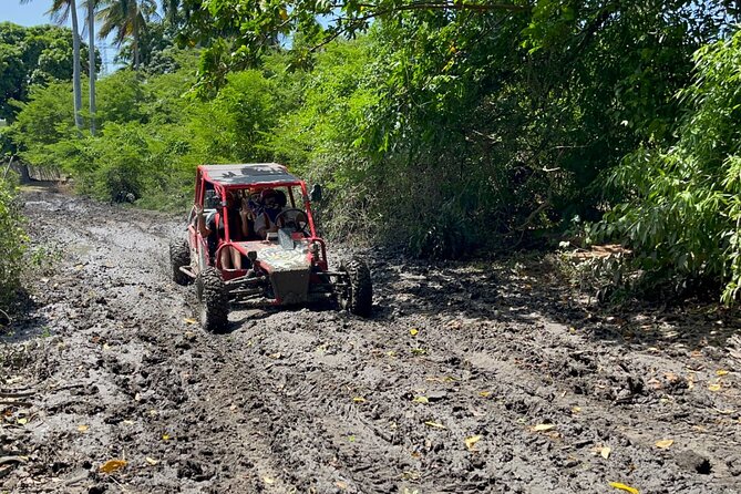 Half-Day Buggy Guided Adventure for Amber Cove and Taino Bay - The cigar rolling shack stop: coffee, hot chocolate, and real local flavor