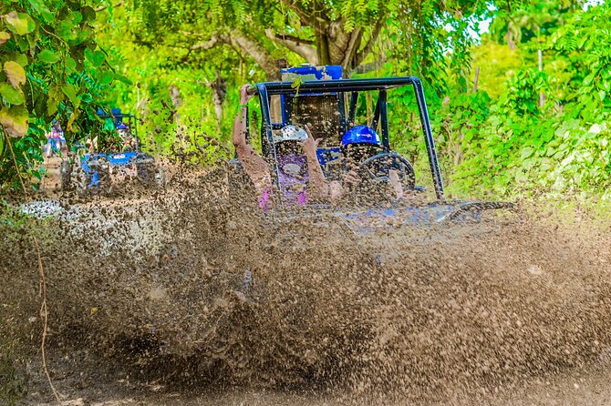 Half-Day Buggy Tour to Water cenote and Macao Beach in Punta Cana - Who should book this buggy and cenote combo?