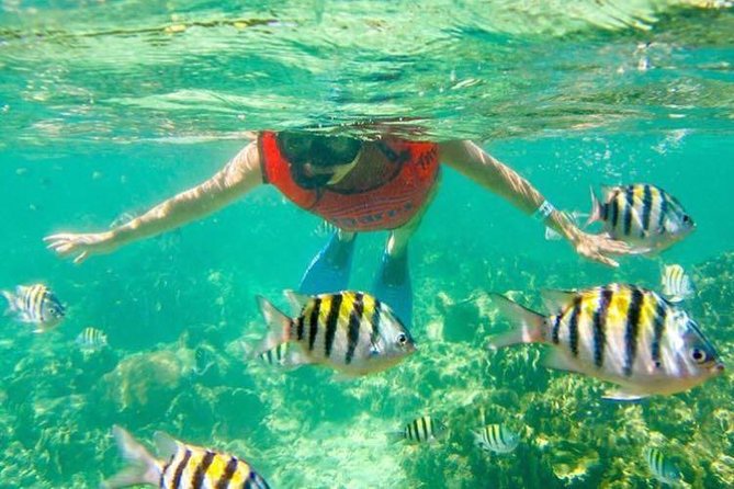 Half Day Catamaran & Snorkeling - Sailing past Punta Cana’s white sands and palms