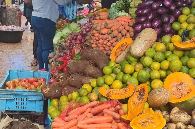Half-day City tour cultural from punta cana for small group - What’s Included in the $60 Price (and What Costs Extra)