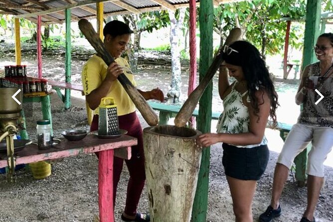 Half-Day Cultural Experience: History, Flavors & Local Artisans - A 7:00am Half-Day That Covers Higuey, Cocoa, Cigars, and Macao