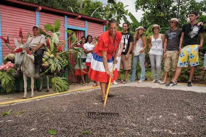 Half-Day Dominican Republic Safari Tour from Punta Cana - Mercado Municipal: The Quick Market Window You’ll Actually Use