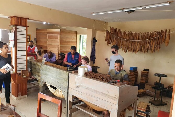 Half Day Dominican Safari for all Family - Coffee Plantations, Cocoa, and Chocolate: A Tasting Theme That’s Easy for Families