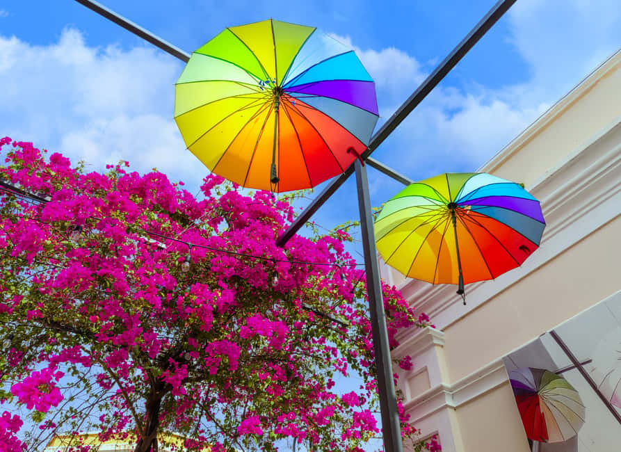 Half Day Private City Tour of Puerto Plata - Key highlights worth planning for