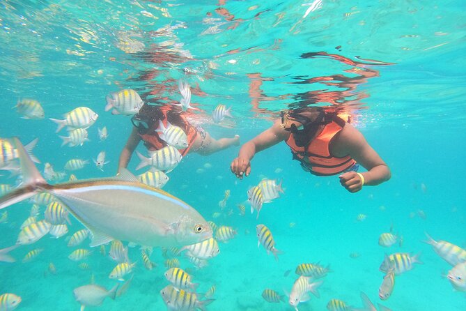 Half-Day Private Party Boat and Snorkeling in Punta Cana - Time on the water: a focused 3.5-hour half-day plan