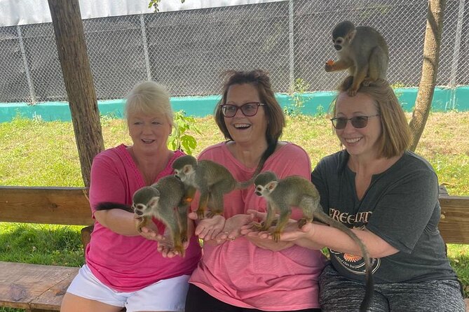 Half Day Puerto Plata City Tour and Monkey Home Visit - A Half-Day Tour That Packs Puerto Plata Photos and Real Fun
