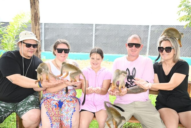 Half Day Puerto Plata City Tour and Monkey Home Visit - Umbrella Street and Doña Blanca: Fast Photo Stops That Actually Work