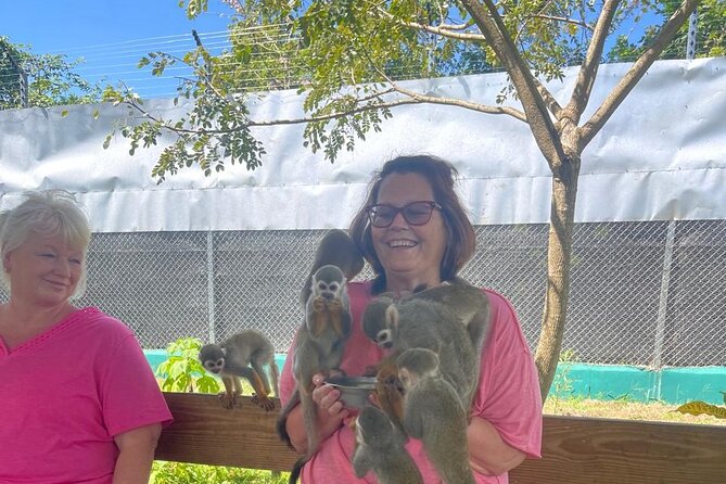 Half Day Puerto Plata City Tour and Monkey Home Visit - Del Oro Chocolate Factory: A Short Education You Can Taste