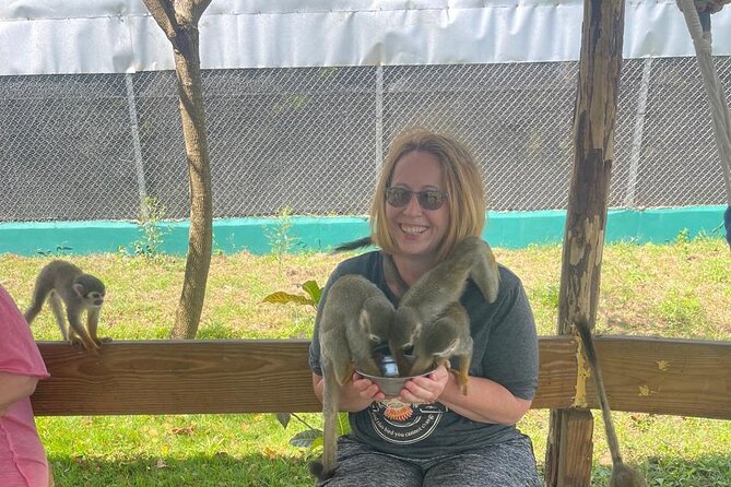 Half Day Puerto Plata City Tour and Monkey Home Visit - Upper Puerto Plata Views: What You Get From the Drive