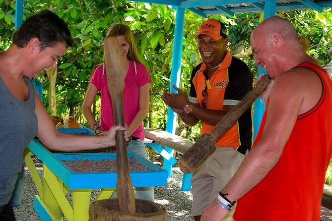 Half Day Punta Cana City Tour - Half-Day Punta Cana City Tour at $160: what you’re really buying