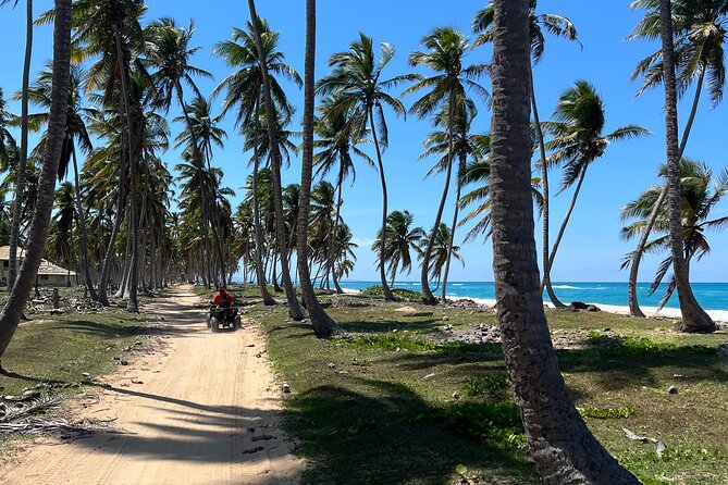 Half Day Safari and ATV or horses from Punta Cana - Key highlights worth your attention