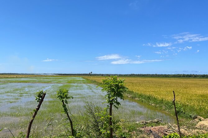Half Day Safari and ATV or horses from Punta Cana - Playa Limon: a virgin-beach style break with real time to breathe