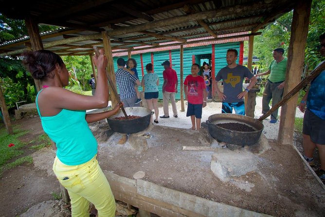 Half Day Safari Tour of Punta Cana - Why This Punta Cana Half-Day Safari Works When You’re Short on Time