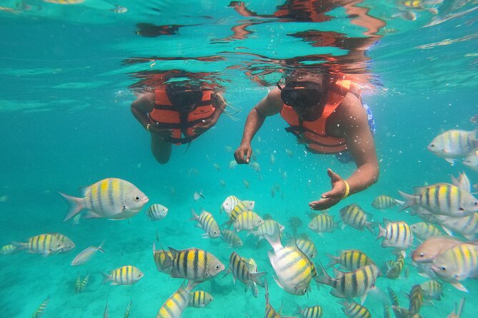 Half-Day Snorkeling Cruise and Natural Pool with Open Bar - Key highlights before you go