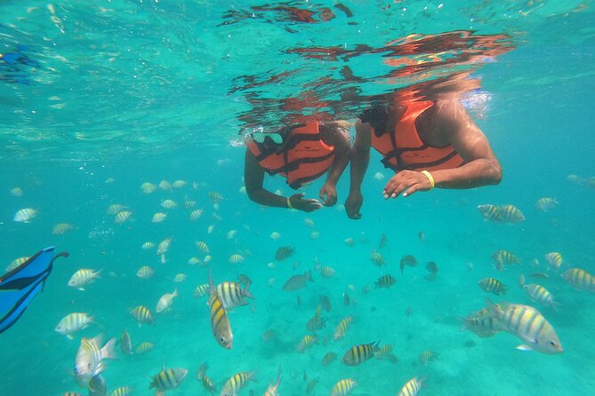 Half-Day Snorkeling Cruise and Natural Pool with Open Bar - Who should book this snorkeling and natural pool cruise