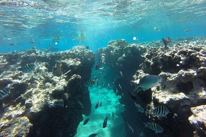 Half Day Sosua Sunset Cruise with Snorkeling - Price and value for $80: what you’re paying for (and what you’re not)
