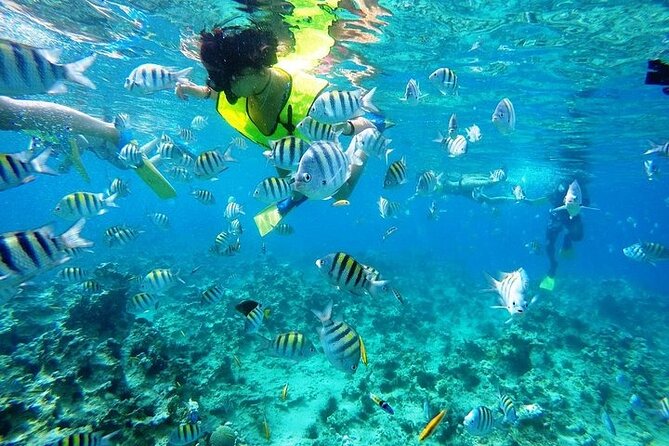 Half Day Sosua Sunset Cruise with Snorkeling - Weather and comfort: when snorkeling plans change