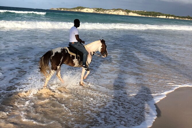 Half-Day Tour 2-in-1, Redonda Mountain & Horseback Riding Tour in Macao Beach - Guide and transport: what stood out in real experiences