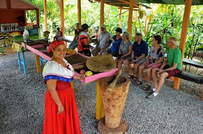 Half-Day Tour: Dominican Discovery Of a Culture - The Punta Cana Countryside Moment: Cocoa, Coffee, Sugar Cane, and Real Flavor