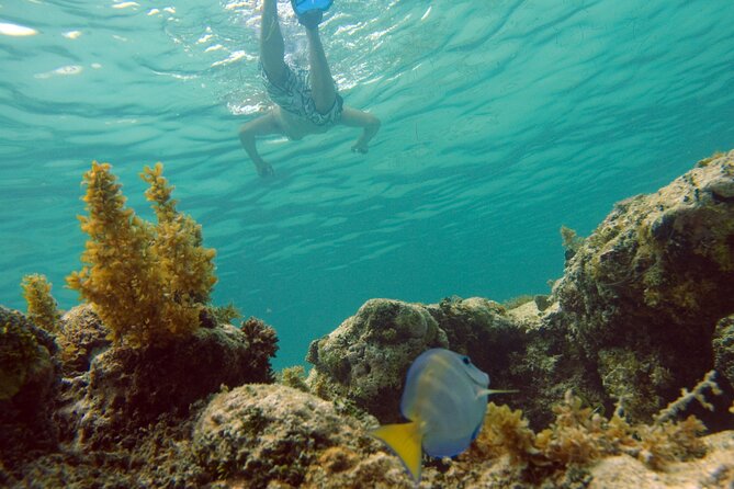 Happy Hour Party Boat With Snorkeling - The catamaran ride itself: lounging time with real sea views