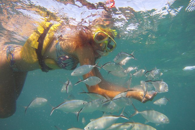 Happy Hour Sailing Cruise from Punta Cana - Pickup, Timing, and the Pace of the Afternoon
