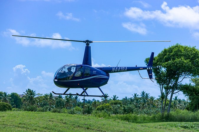 Helicopter tour of Punta Cana - Punta Cana Highlights: Coco Bongo Dome and Bavaro Hotels