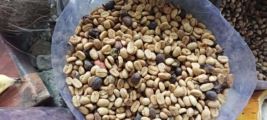 Higuey discovery, coffee and cocoa tasting from punta cana - The Basilica of Higüey: how to make the most of your church time
