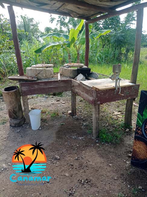 Higuey discovery, coffee and cocoa tasting from punta cana - Markets in Higüey: food stalls, craft booths, and quick culture
