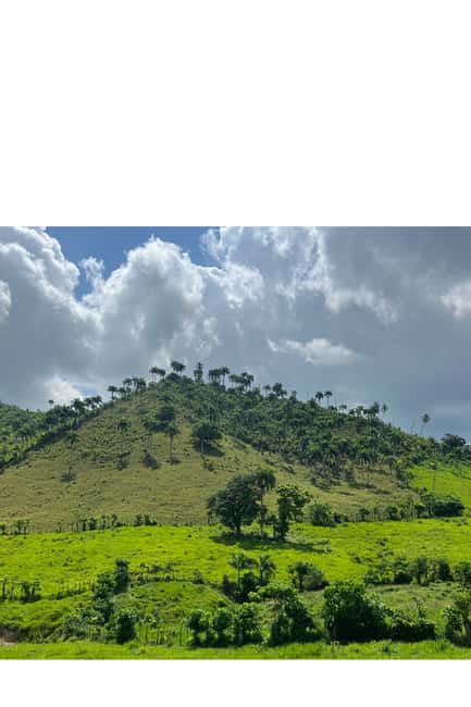 Higuey discovery, coffee and cocoa tasting from punta cana - Coffee and cacao tasting: where the plant knowledge pays off