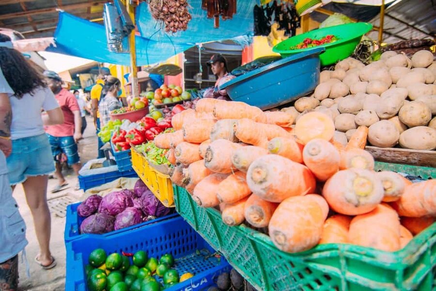 Higuey: Dominican Culture Walking Tour with Cathedral Ticket - Who should book this Higuey culture tour