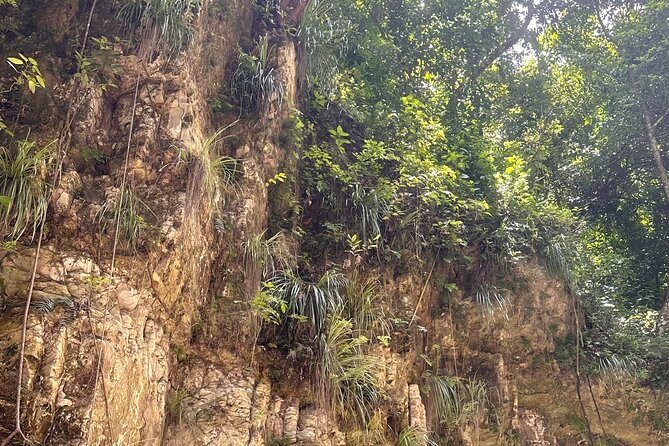 Hiking the 27 Waterfalls of Damajagua Tour from Santo Domingo - Getting There to Damajagua: Tickets, Equipment, and Your Guide’s Role