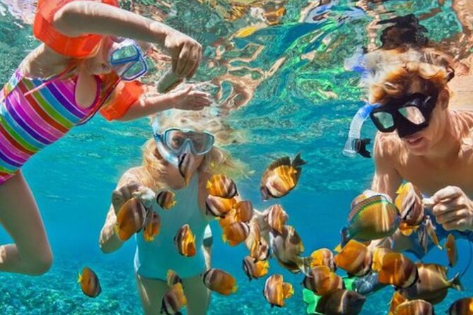 Hip hop party boat cruise & Snorkel: Wonderful time in Punta Cana - The Sand-Touch Stop: Why This Part Gets People Smiling