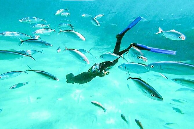 Hip Hop solo para adultos PartyBoat con Bebidas ilimitadas y Bar - Cruising Stop: Bavaro Beach, Snorkeling Gear, and a Natural Ocean Pool