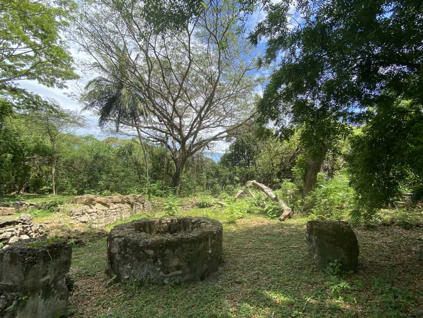History of Slavery Guided Tour - Lunch in the Dominican Republic: banana-leaf comfort food