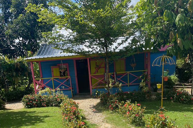 Horse Back Riding Adventure in Punta Cana - Why this Punta Cana horseback ride feels different (in a good way)
